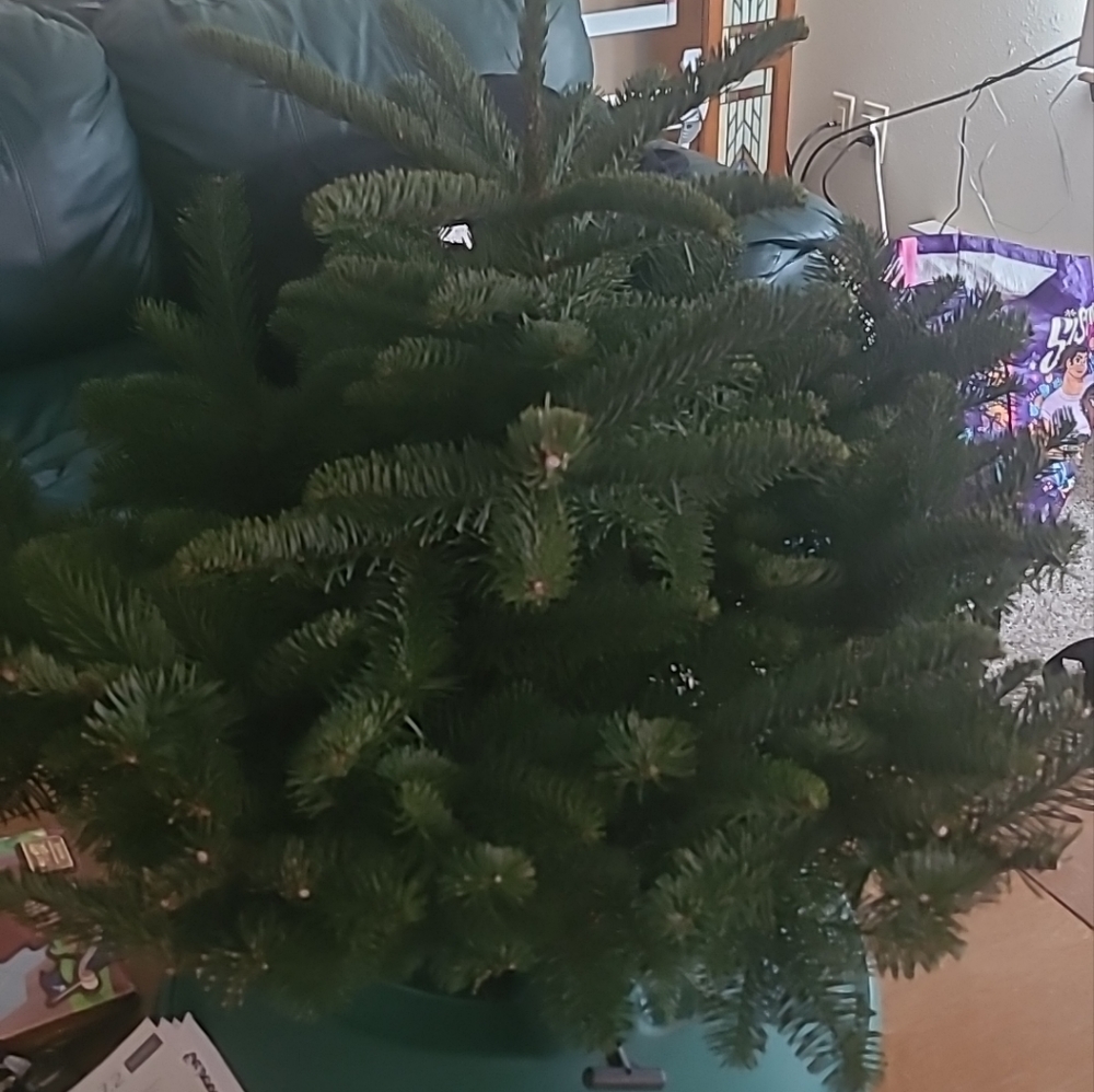 Meet your Posher, T'lyn